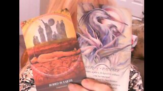 Tarot - Daily Channeled Message - Random Rumble - Past & Present Come Into Focus