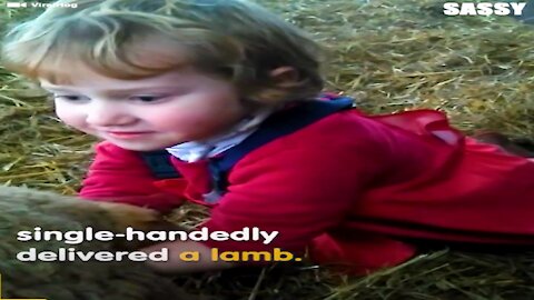 Baby Girl Helps Deliver A Newborn Lamb🐏😳A young veterinarian😍