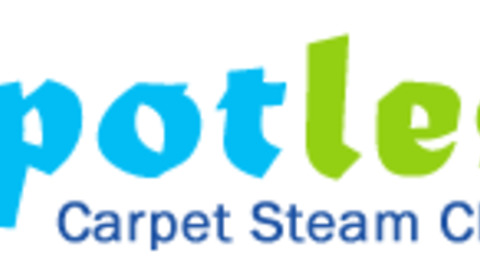 Experience In Carpet Steam Cleaning