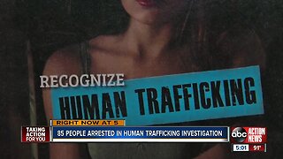 Hillsborough Co. human trafficking sting leads to 85 arrests