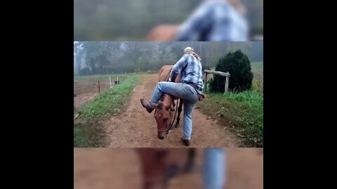 Mounting and Riding a Horse Backwards