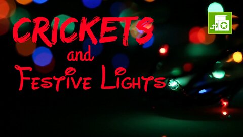 Crickets and Festive Lights | Crickets and Light | Ambient Sound | What Else Is There?