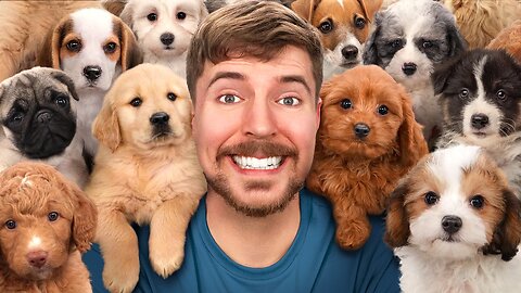 I Rescued 100 Abandoned Dogs! | Mr Beast