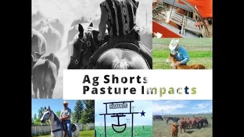 Pasture Impacts - Ag Shorts