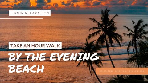Take an Hour Walk by the Evening Ocean | One Hour Relaxation #onehourrelaxingvideo #walkbyocean