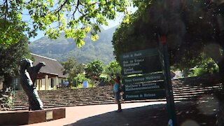 SOUTH AFRICA - Cape Town - Kirstenbosch National Botanical Garden (Video) (hp2)