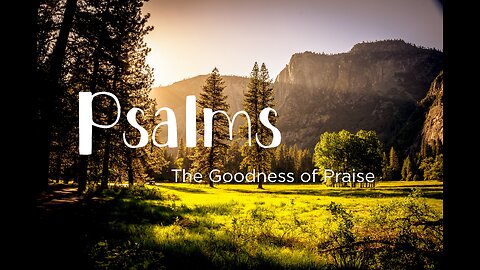 The Goodness of Praise