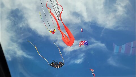 Flying kites at Port Aransas at Mile Marker 13 all day & night
