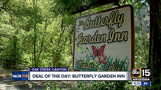 Summer getaway? Save 40% at Butterfly Garden Inn in northern Arizona