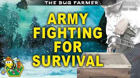 Army Fighting For Winter Survival | Identifying a pre-deadout beehive. #beekeeping #insects #bees