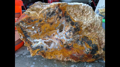 Finding, Digging Up Giant Log of Petrified Wood