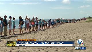 'Hands Along the Water' rally held in 30 spots around Florida