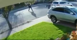 Thug Tries to Rob a Man at Gunpoint, Ends Up Getting the Hardest Bodyslam You've Ever Seen