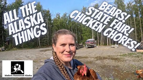 All the things An Alaska Life has to offer! Alaska State Fair! Alaska Black bears! Homestead Chicken
