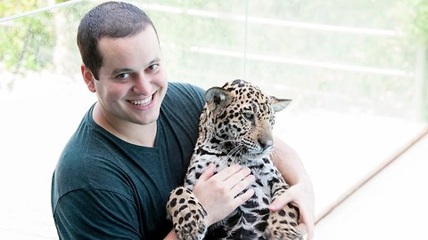 Cute Jaguar Cub Saved By Vets Lives With Human Family
