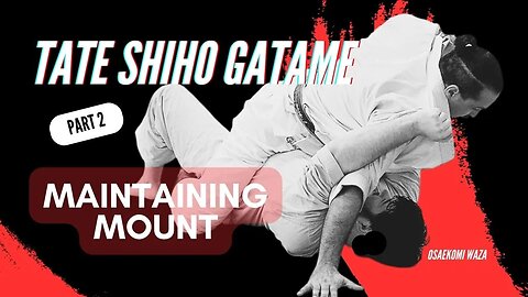 Tate Shiho Gatame (Mount) • Maintaining Position Basics Part 2 • JUJUTSU (jujitsu / jiu jitsu)