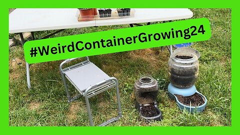 Growing Jalapenos in a Weird Container #WeirdContainerGrowing24 Hosted by Gails Southern Living