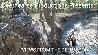 Views From The Deer Woods
