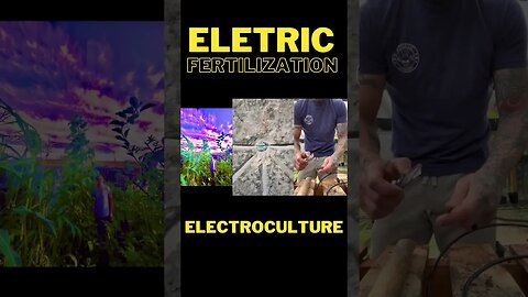 ELECTROCULTURE ELETRIC FERTILIZATION #shortsviral #shortsyoutube #fypyoutube #shorts