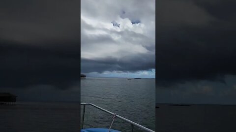 Catamaran in Roatan Honduras!