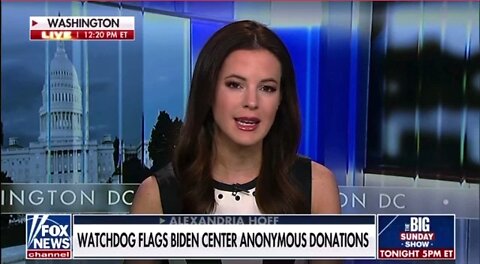 Alexandria Hoff speaks about WATCHDOG group which FLAGS Hunter Biden anonymous donations