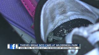 Detectives search for thieves who smashed car windows at local park