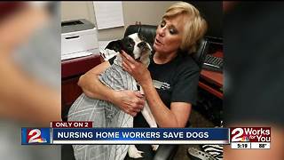 Nursing home workers save dogs