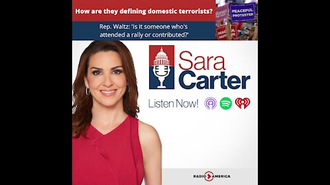 How are they defining domestic terrorists?