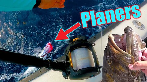 Fishing with planers off Key Largo & Cooking a Grouper | Catch and Cook
