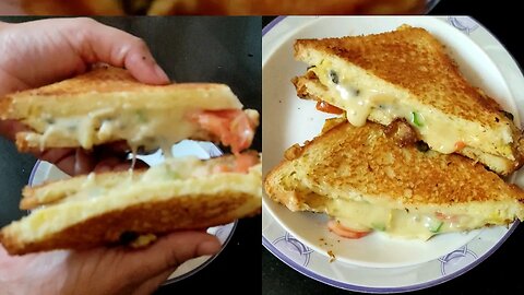 Most Viral Vegetable cheese sandwich | Street Food | Cheese Toast | Paneer sandwich