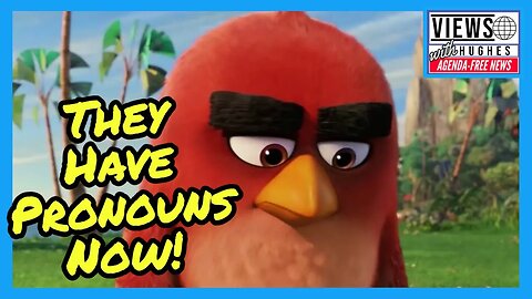 Angry Birds Has Pronouns Now And the Company Says We Must RESPECT Them! #AngryBirds #VideoGames #WTF