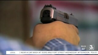 Gun advocates come to Lincoln to support 'castle doctrine' law