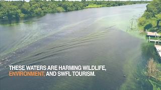 ​Lake Okeechobee and pollution causing green and brown water