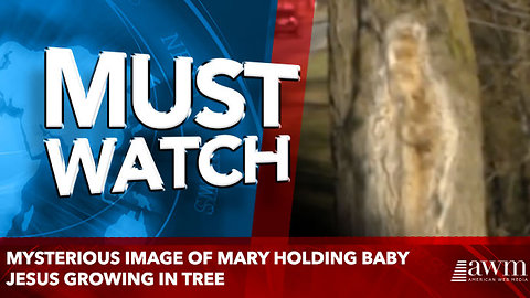 Mysterious Image Of Mary Holding Baby Jesus Growing In Tree