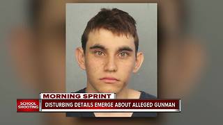 Suspected Florida school shooter, Nikolas Cruz, faces 17 charges of premeditated murder