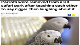 Cussing Parrots Censored & Removed From UK Wildlife Park
