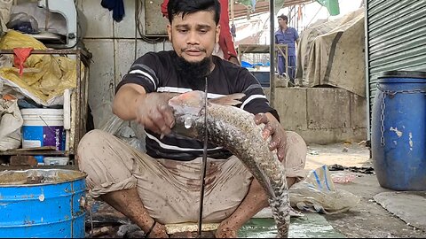 Big Grass Carp Fish Fast Cutting By Expert Cutter l Fish Cutting Skills
