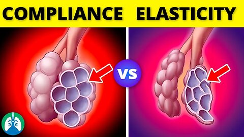 Lung Compliance vs. Elasticity *EXPLAINED*
