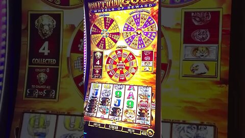 Win $3,000 Guaranteed in Las Vegas Playing Buffalo Gold Wheels of Rewards!! #lasvegas