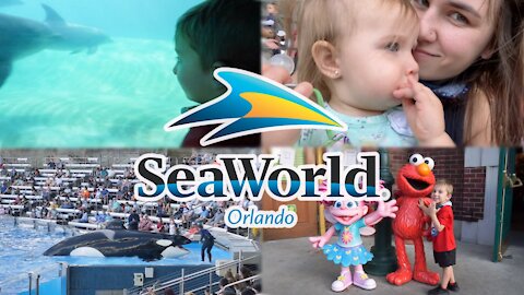 Our First Family Trip To Seaworld! | Seaworld Orlando Florida