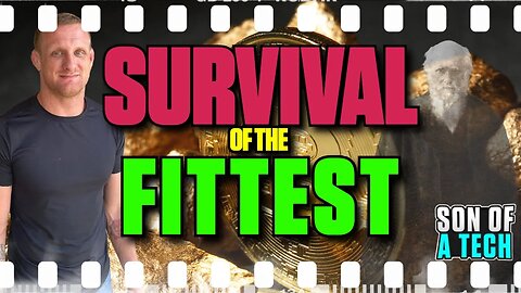 Survival of the Fittest - 272