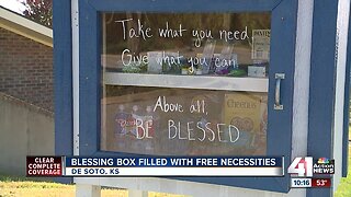 De Soto Boy Scout's blessing box aims to help community