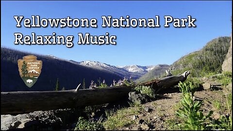 Yellowstone National Park Relaxing Music! Sounds Of The Wild! #relaxingmusic #yellowstone #nature