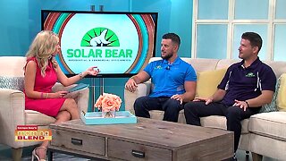 Solar Bear | Morning Blend