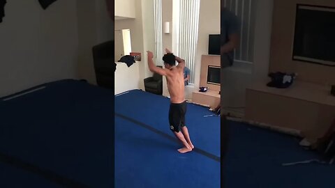 Double Backflip In a LivingRoom