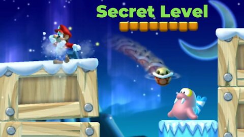 Secret Level Frosted Glacier-A Fliprus Lake (All Star Coins) New Super Mario Bros U Deluxe
