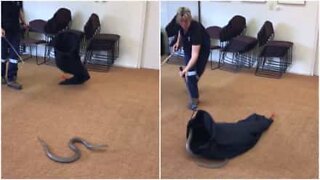 Kvinne demonstrerer hvordan en skal fange en slange