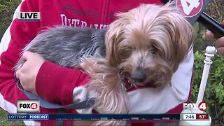 Pet of the week: Peanut