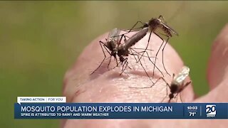 Mosquito population explodes in Michigan