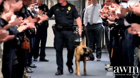 K9 Who Sacrificed His Life To Protect And To Serve, Gets Unforgettable Sendoff